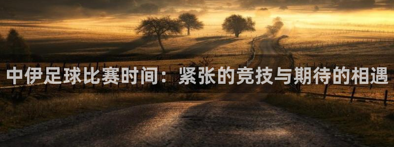 中伊足球比赛时间：紧张的竞技与期待的相遇