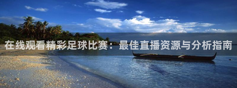  在线观看精彩足球比赛：最佳直播资源与分析指南