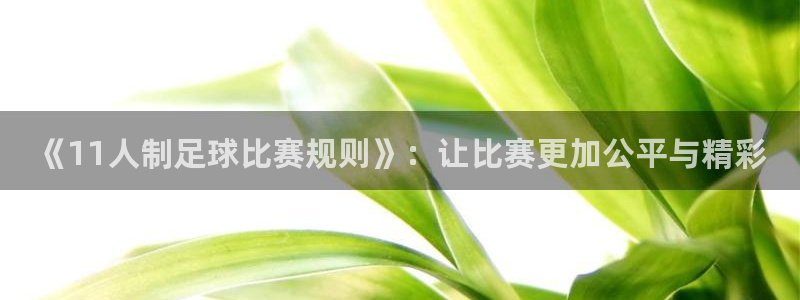 《11人制足球比赛规则》：让比赛更加公平与精彩
