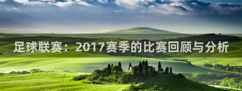 足球联赛：2017赛季的比赛回顾与分析