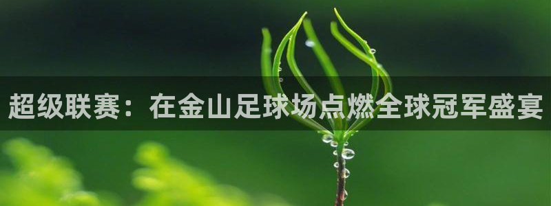 超级联赛：在金山足球场点燃全球冠军盛宴