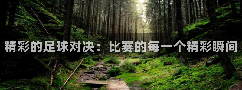 精彩的足球对决：比赛的每一个精彩瞬间