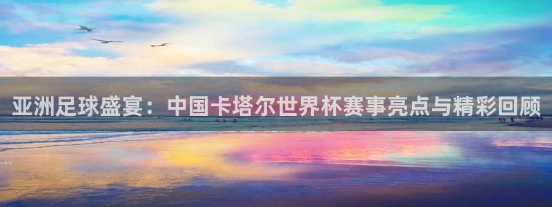 亚洲足球盛宴：中国卡塔尔世界杯赛事亮