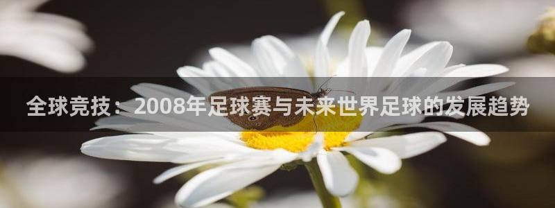 全球竞技：2008年足球赛与未来世界足球的发展趋势