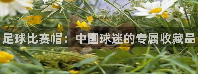  足球比赛帽：中国球迷的专属收藏品