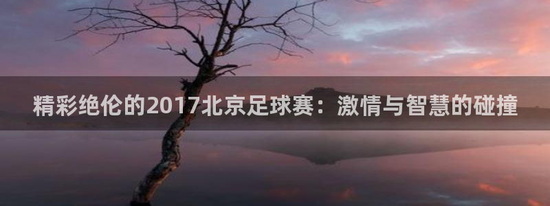 精彩绝伦的2017北京足球赛：激情与智慧的碰撞