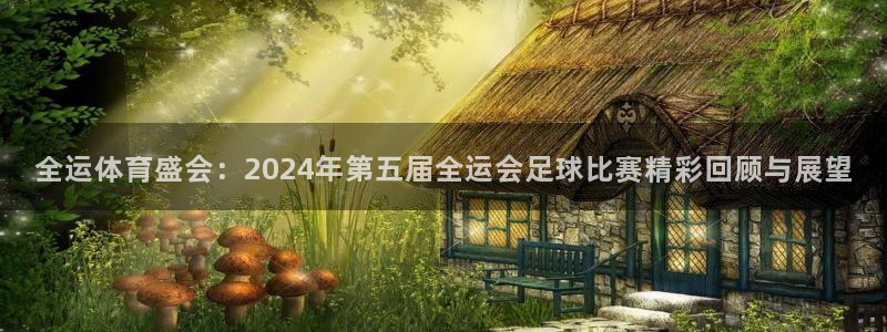 全运体育盛会：2024年第五届全运会足球比赛精彩回顾与展望