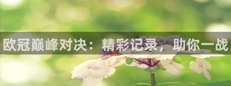  欧冠巅峰对决：精彩记录，助你一战