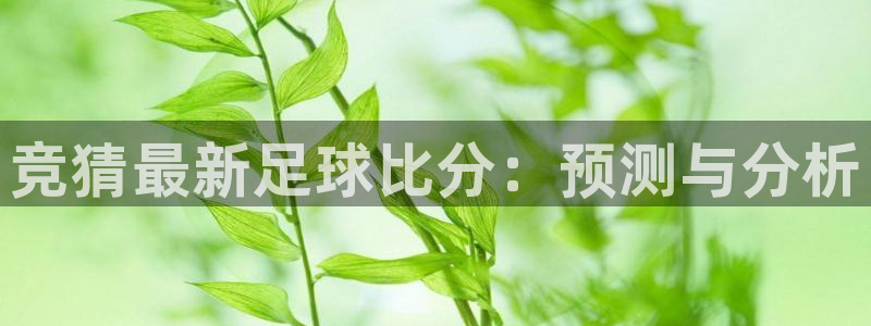 竞猜最新足球比分：预测与分析