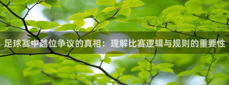  足球赛中越位争议的真相：理解比赛逻辑与规则的重要性