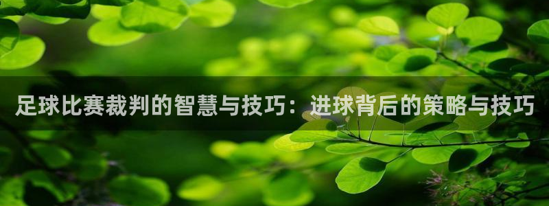 足球比赛裁判的智慧与技巧：进球背后的策略与技巧