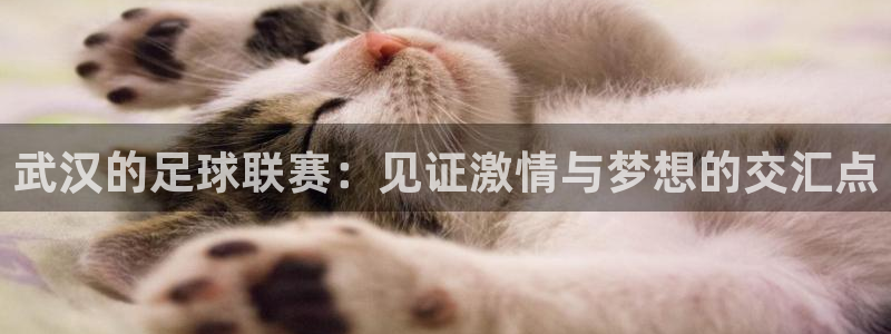 武汉的足球联赛：见证激情与梦想的交汇点