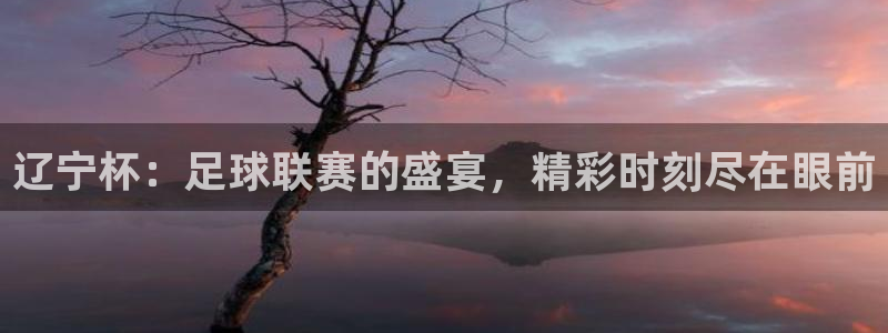 辽宁杯：足球联赛的盛宴，精彩时刻尽在眼前