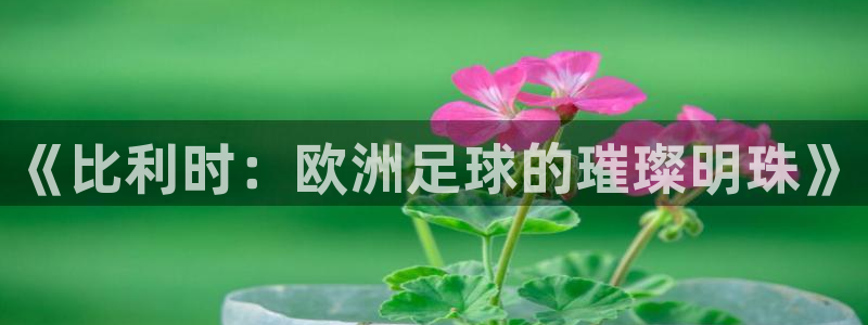  《比利时：欧洲足球的璀璨明珠》