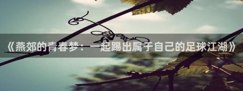 《燕郊的青春梦：一起踢出属于自己的足球江湖》