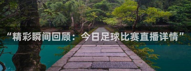  “精彩瞬间回顾：今日足球比赛直播详情”