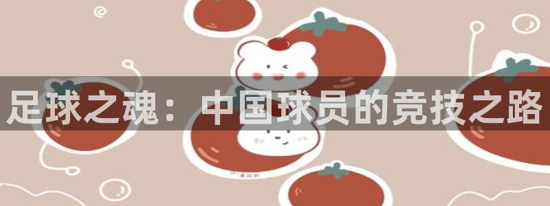  足球之魂：中国球员的竞技之路