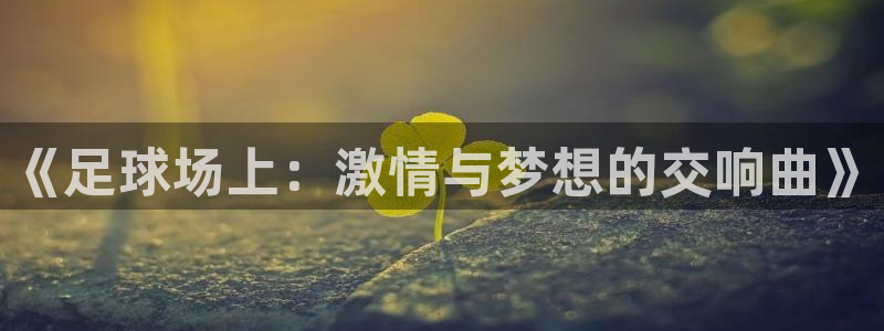  《足球场上：激情与梦想的交响曲》
