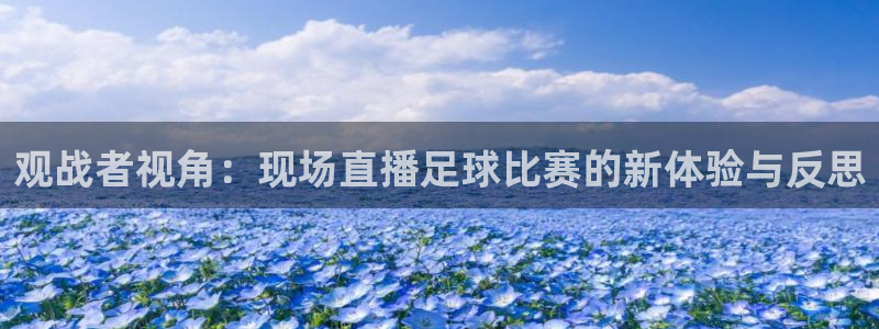  观战者视角：现场直播足球比赛的新体验与反思