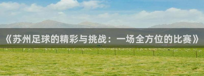 《苏州足球的精彩与挑战：一场全方位的比赛》