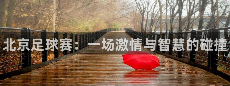 北京足球赛：一场激情与智慧的碰撞