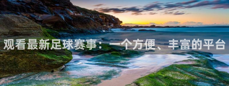 观看最新足球赛事：一个方便、丰富的平台