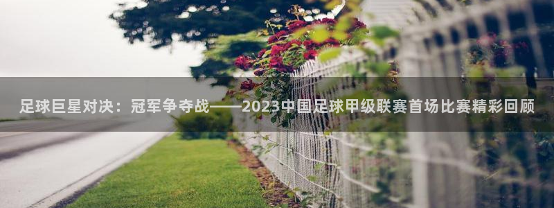  足球巨星对决：冠军争夺战——2023中国足球甲级联赛首场比赛