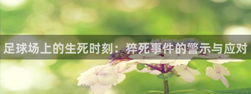 足球场上的生死时刻：猝死事件的警示与应对