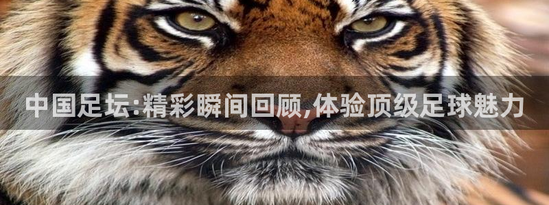 中国足坛:精彩瞬间回顾,体验顶级足球魅力