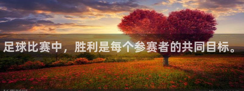 足球比赛中，胜利是每个参赛者的共同目