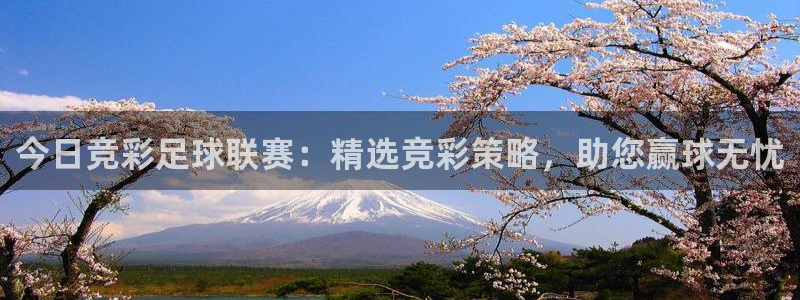 今日竞彩足球联赛：精选竞彩策略，助您