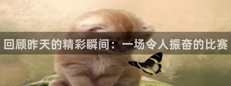 回顾昨天的精彩瞬间：一场令人振奋的比