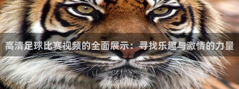 高清足球比赛视频的全面展示：寻找乐趣