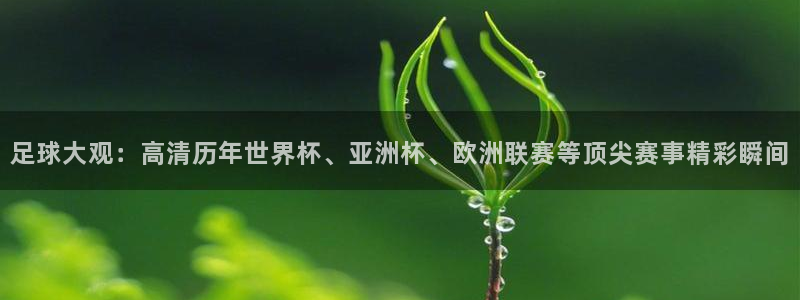 足球大观：高清历年世界杯、亚洲杯、欧
