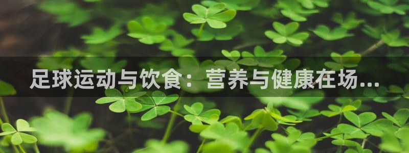 足球运动与饮食：营养与健康在场...