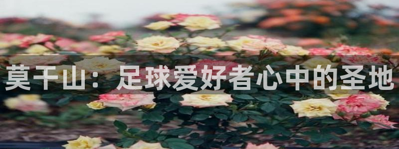 莫干山：足球爱好者心中的圣地