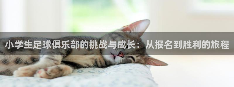 小学生足球俱乐部的挑战与成长：从报名