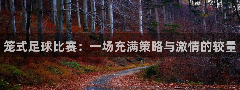 笼式足球比赛：一场充满策略与激情的较