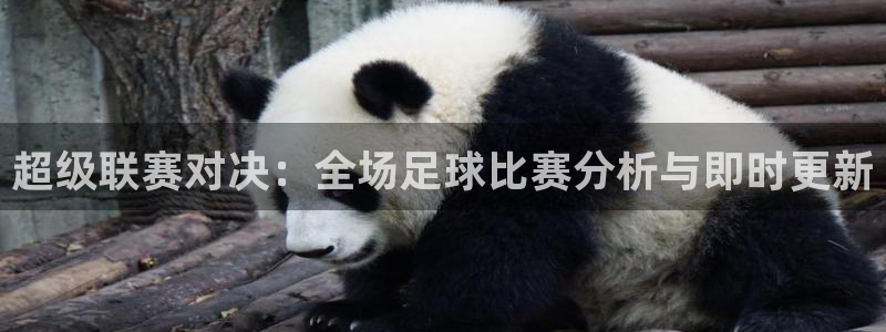 超级联赛对决：全场足球比赛分析与即时