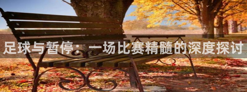 足球与暂停：一场比赛精髓的深度探讨